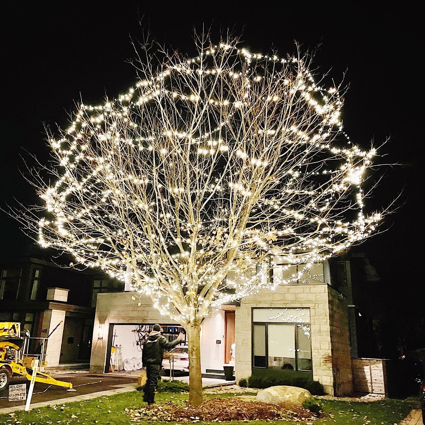 Large tree wrapped in white Christmas lights beside a home